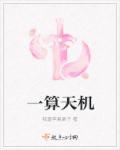 天机占卜算命