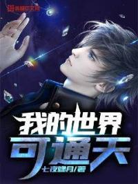 我的世界天秀