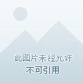 乡村神农短剧免费观看全集