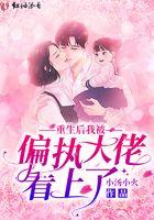 重生后被偏执大佬骗了心晋江